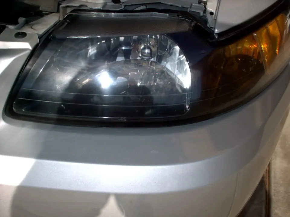 IMAG0233.webp