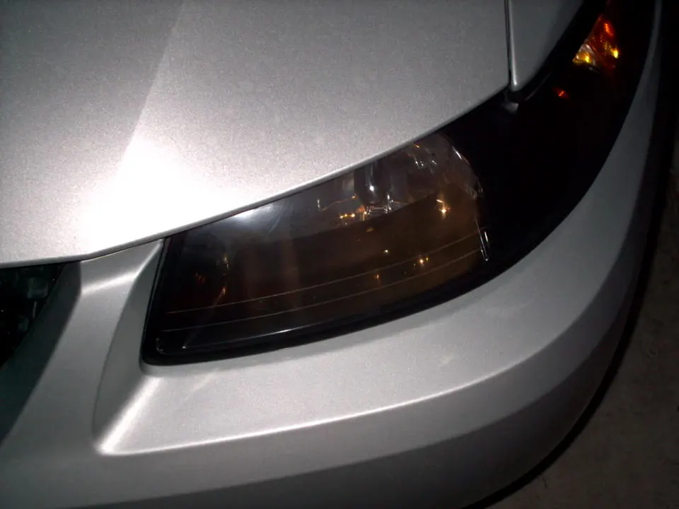 IMAG0234.webp