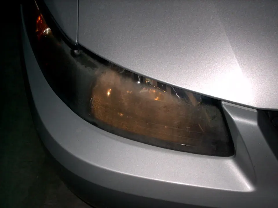 IMAG0235.webp