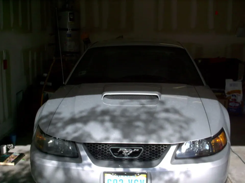IMAG0237.webp
