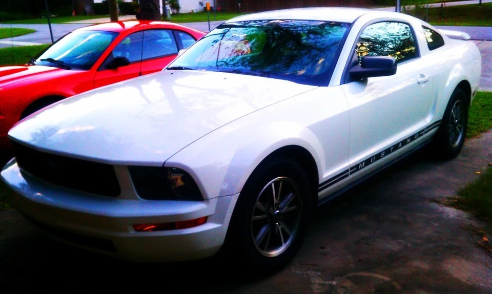 IMAG0239.webp