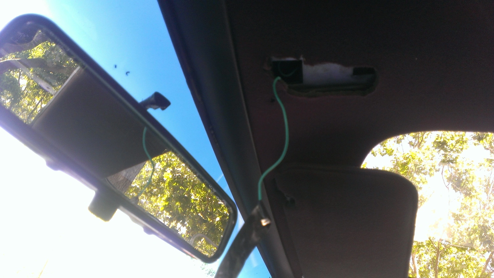 IMAG0242.webp