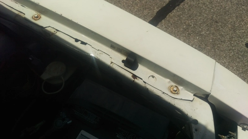 IMAG0244_zpsmlgfns7e.webp
