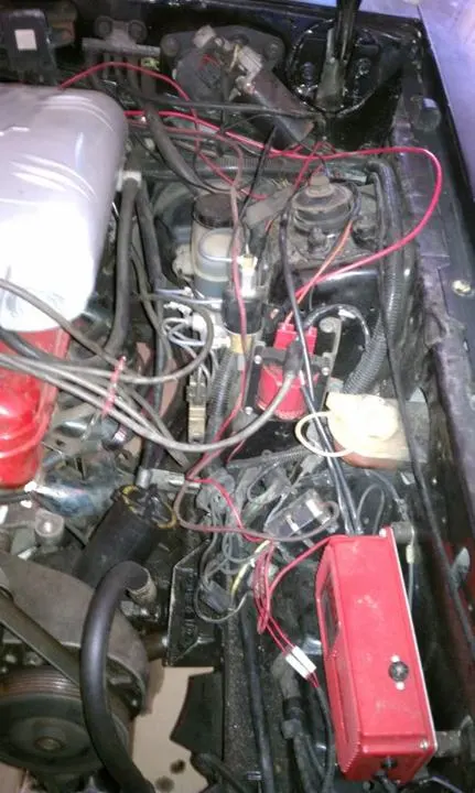 IMAG0246.webp