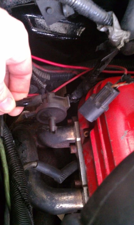 IMAG0251.webp
