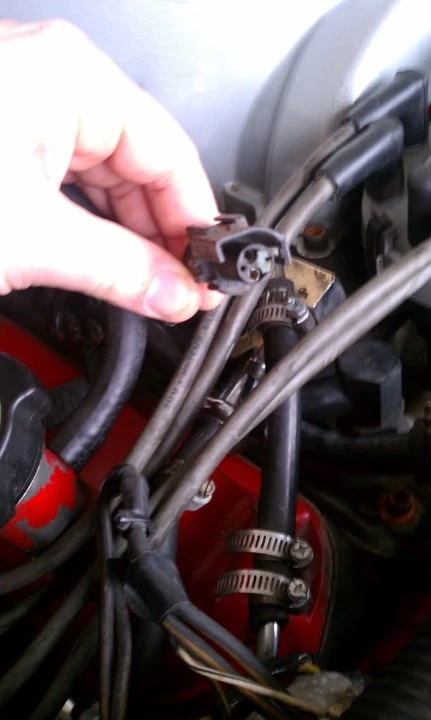 IMAG0254.webp