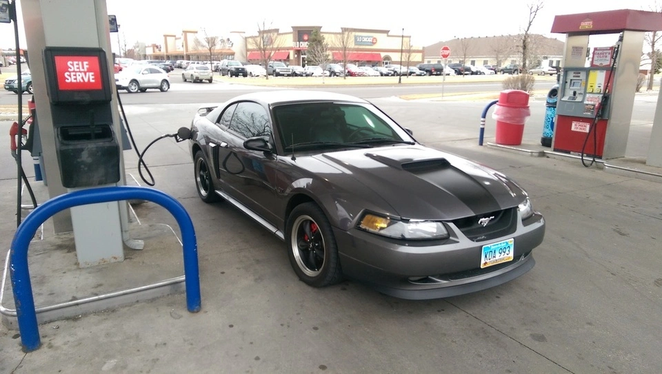 IMAG0292_zpstvmnch3f.webp