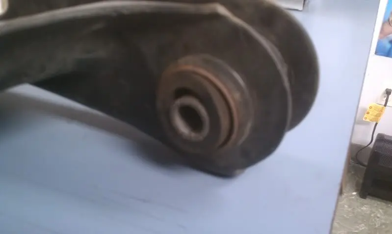 IMAG0306.webp