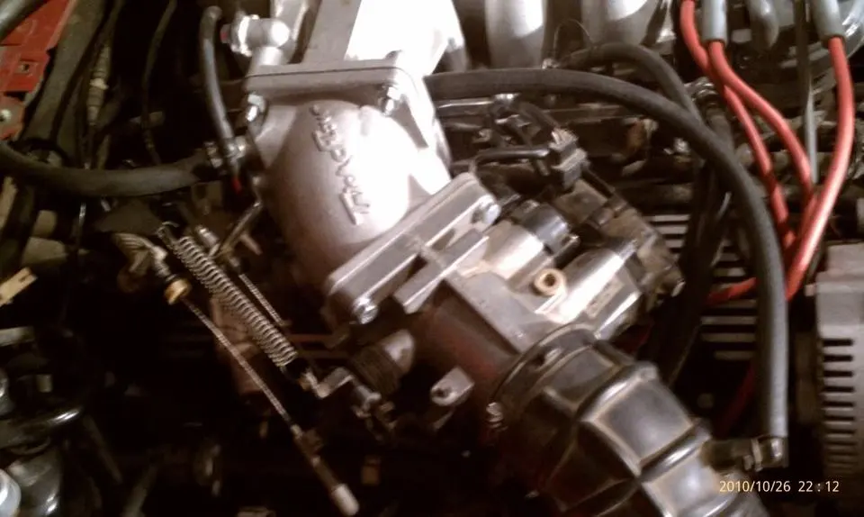 IMAG0324.webp