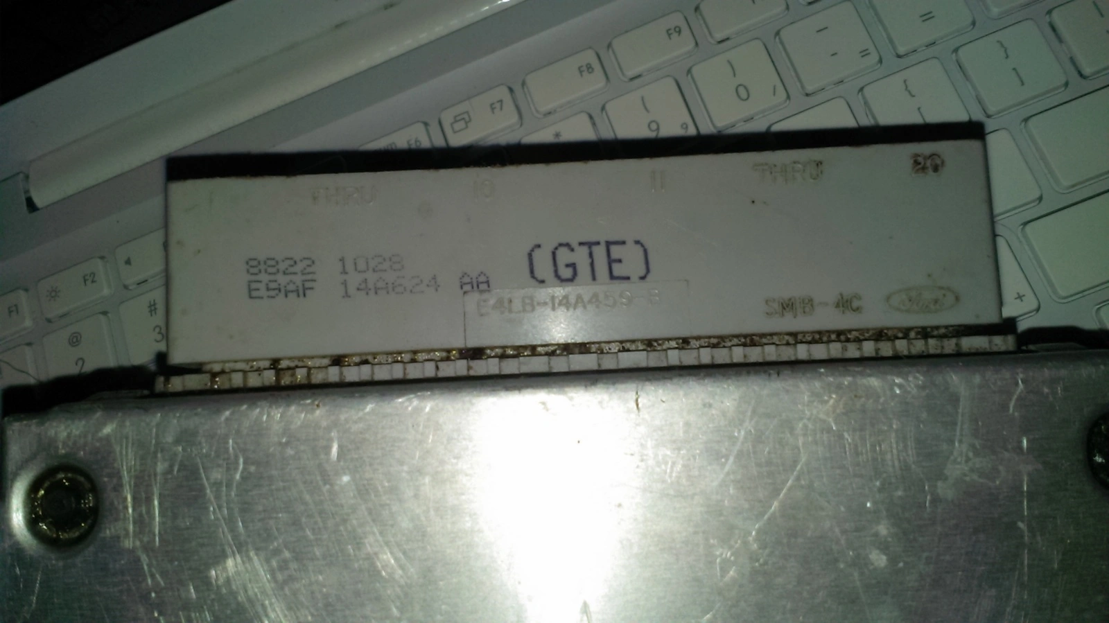 IMAG0377.webp
