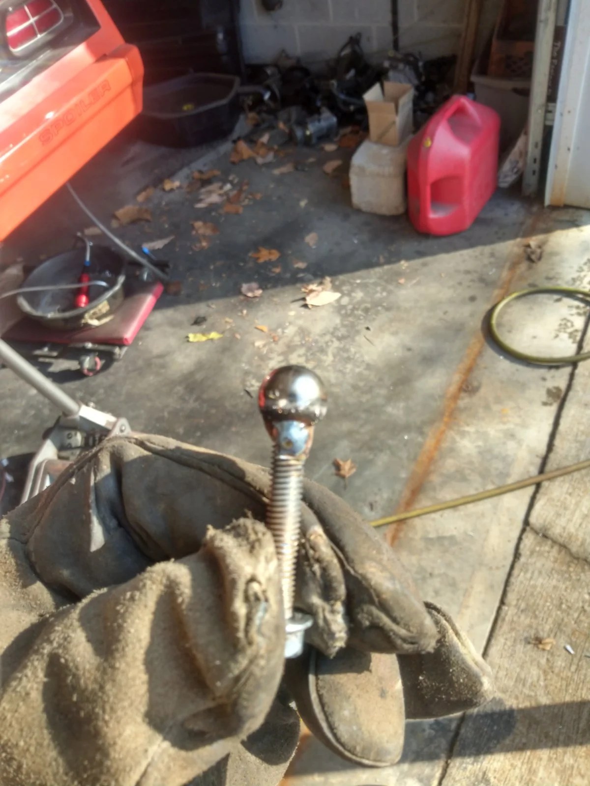 IMAG0380.jpg