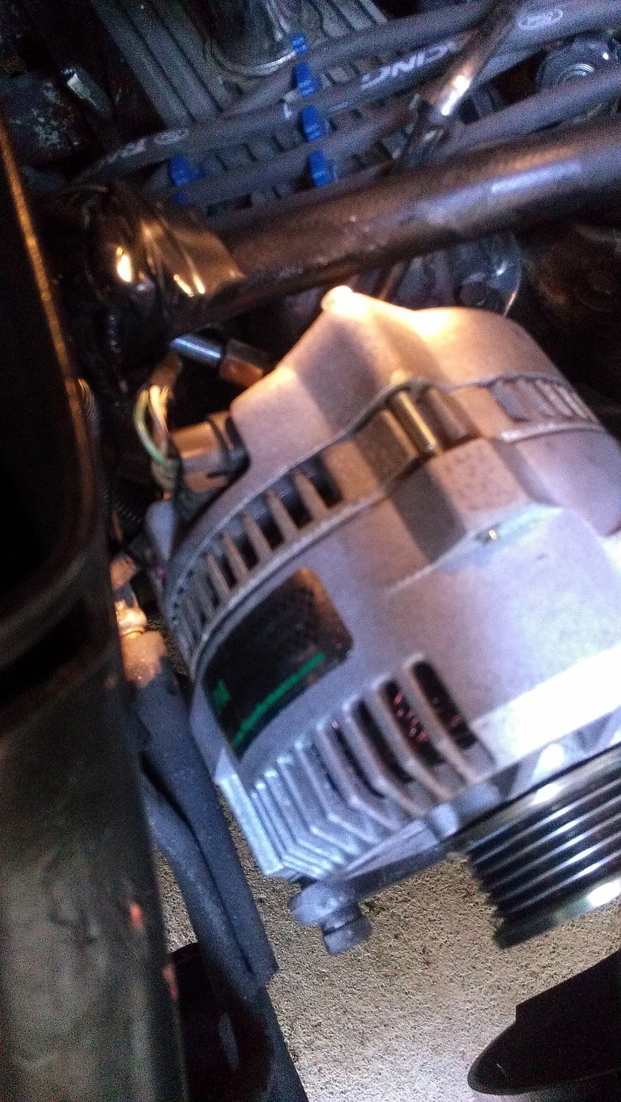 IMAG0406.webp