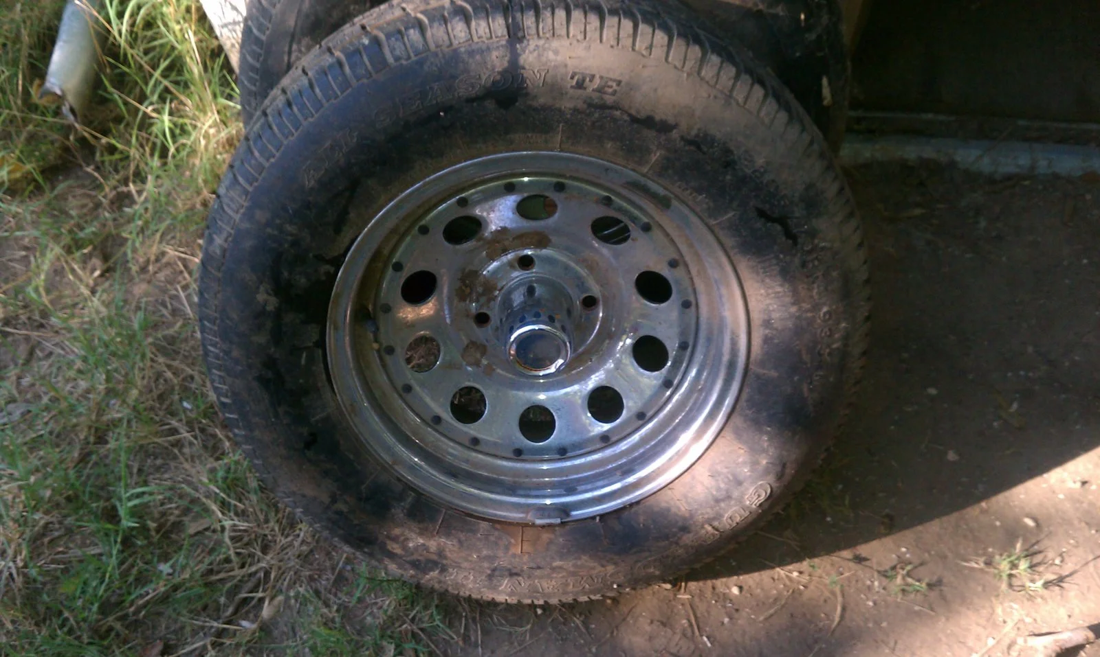 IMAG0441.webp