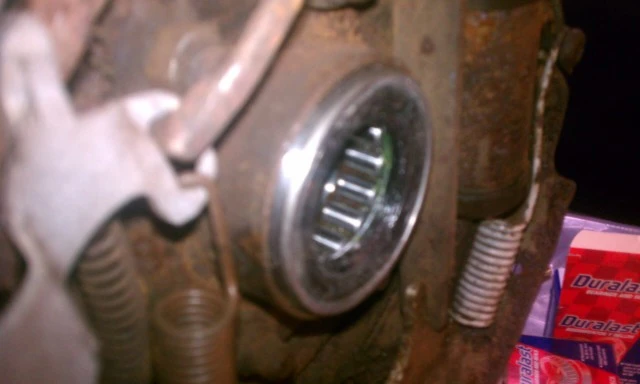 IMAG0454.webp