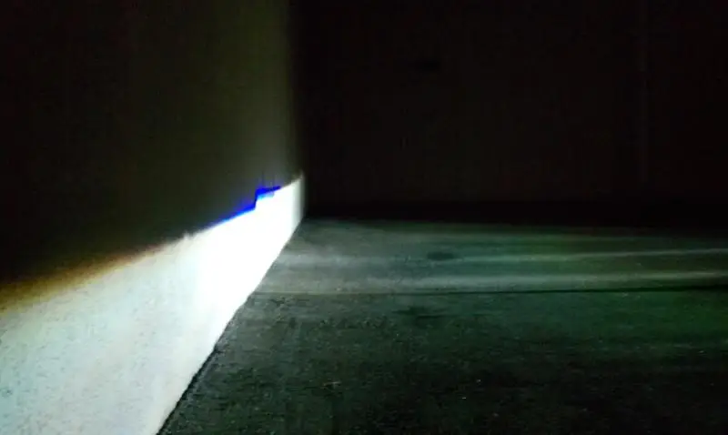 IMAG0493.webp