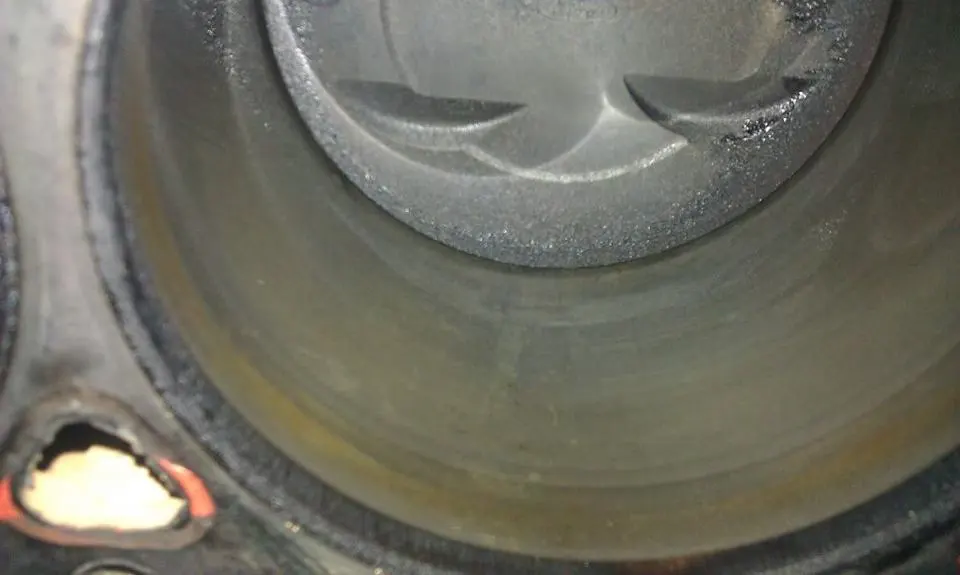 IMAG0504.webp