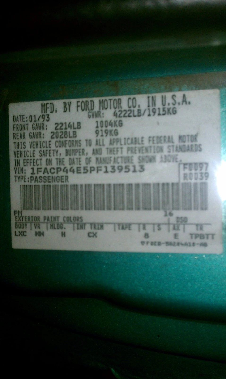 IMAG0507.webp