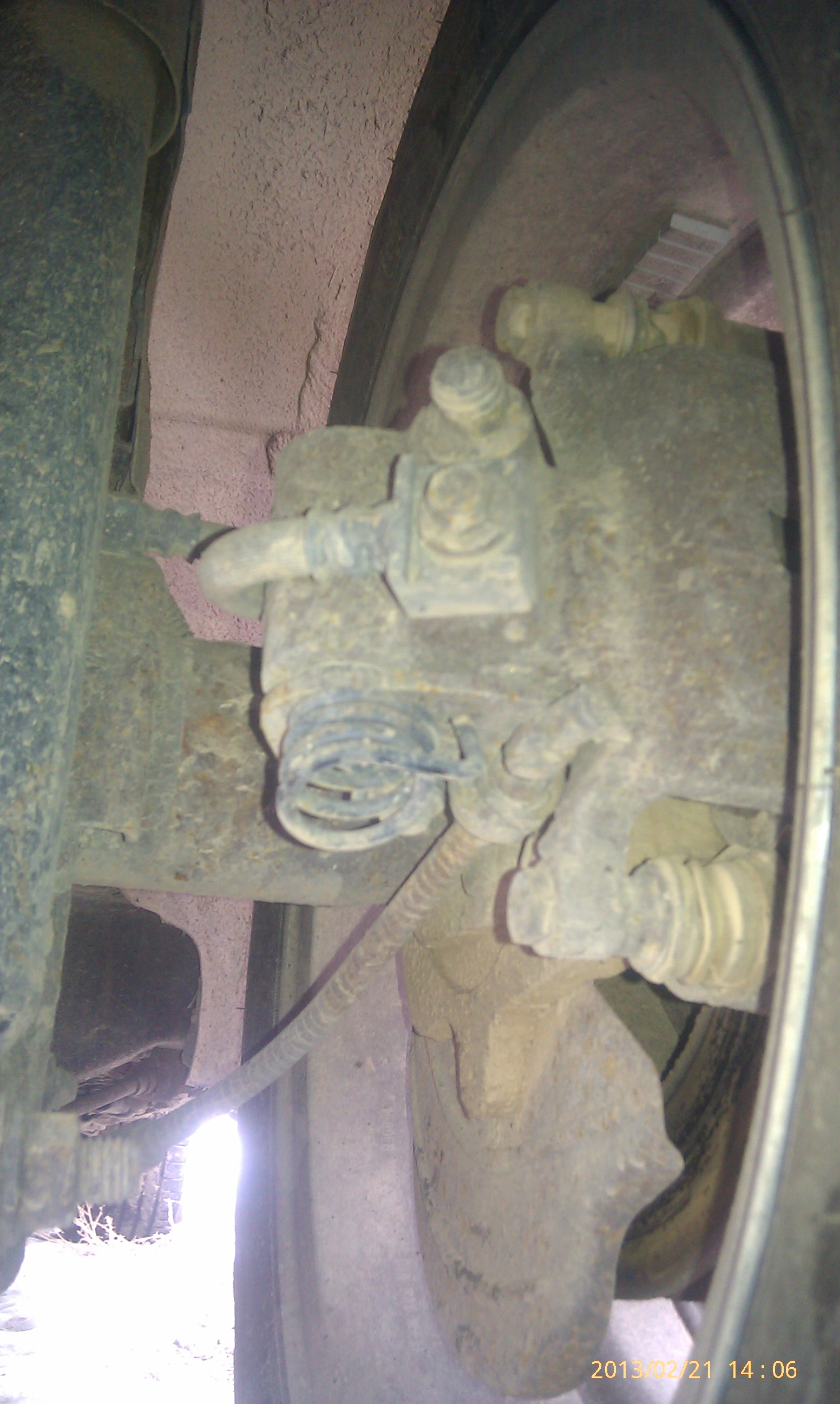 IMAG0537.webp