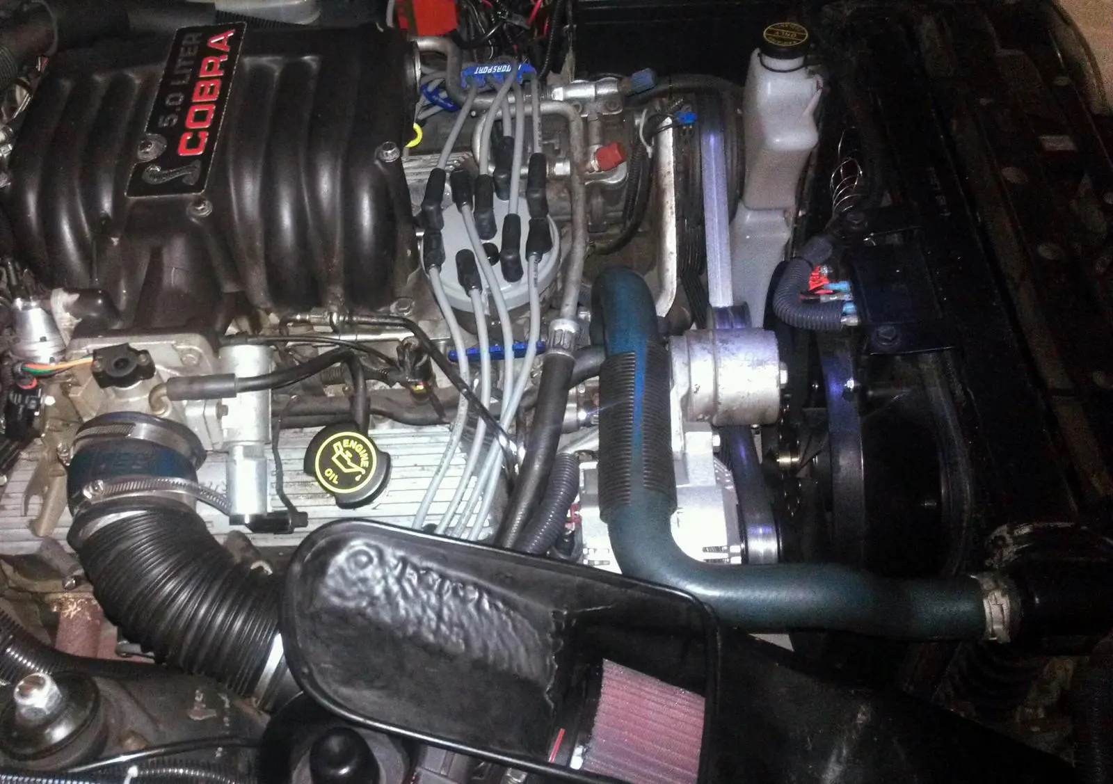 IMAG0553-1.webp