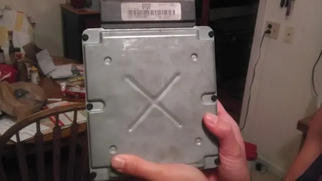 IMAG0600.webp