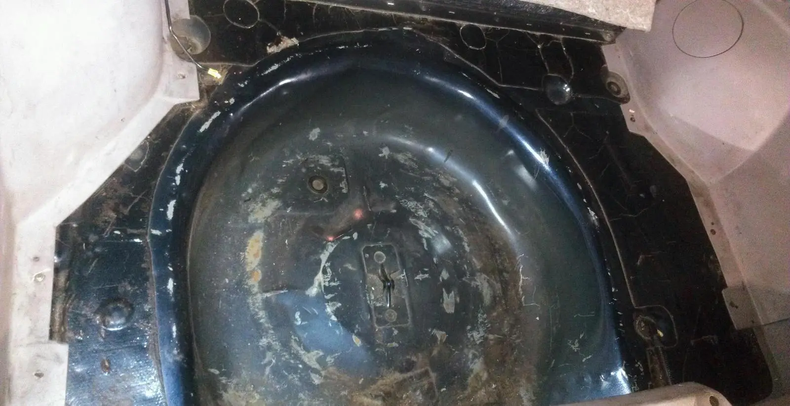 IMAG0618-1.webp