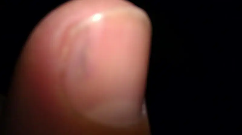 IMAG0762_zps211c688a.webp
