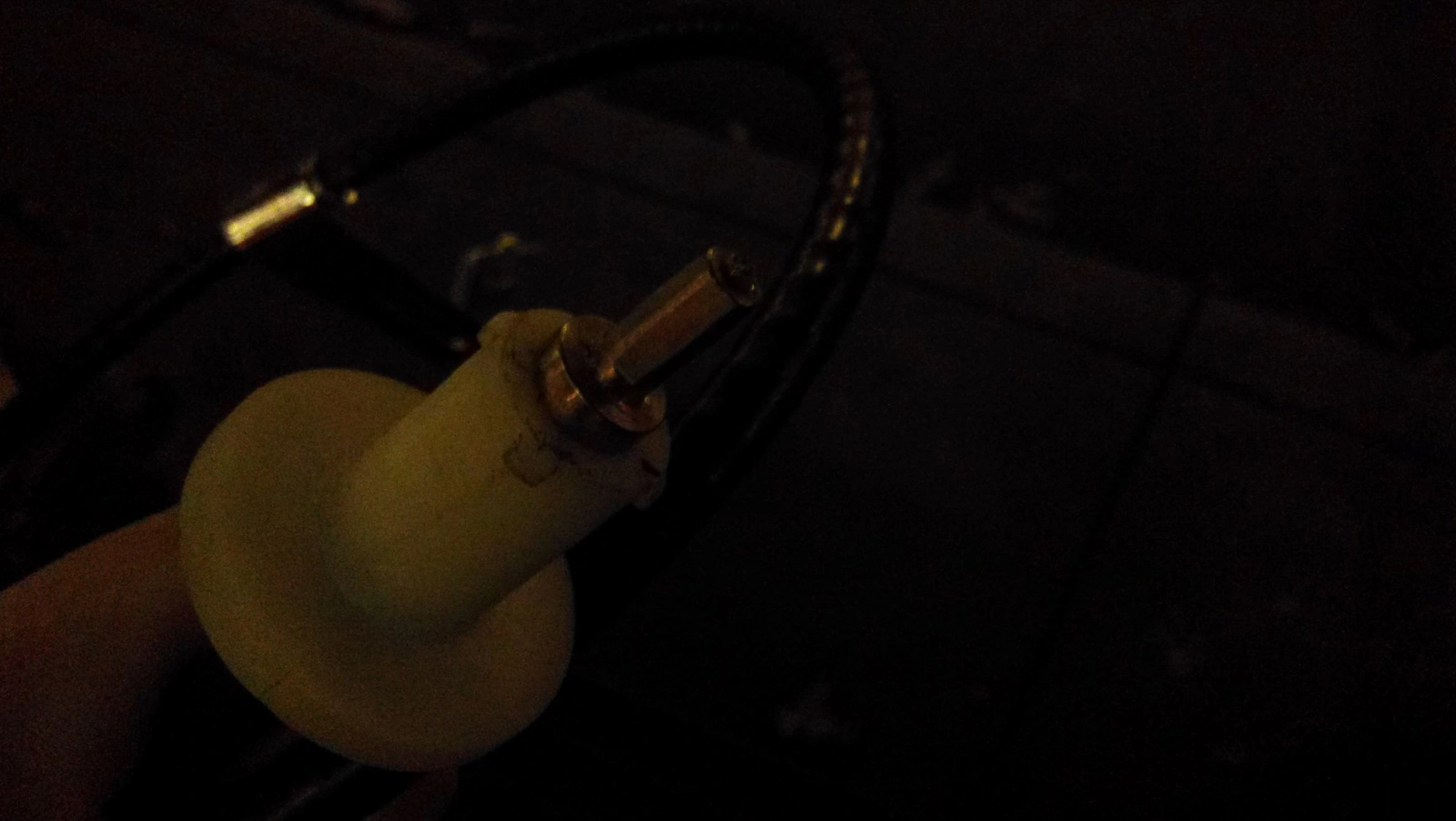 IMAG0811.webp