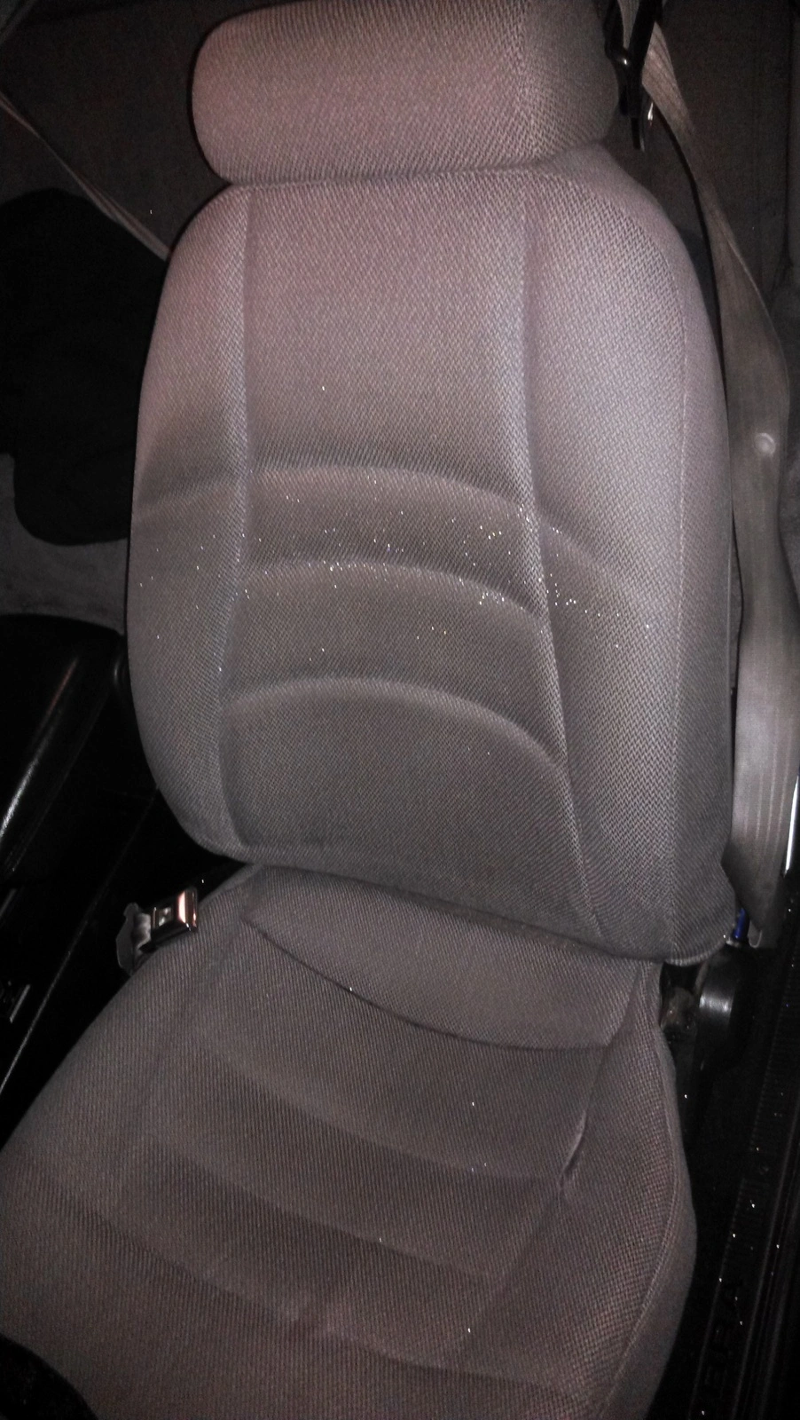 IMAG0837.webp