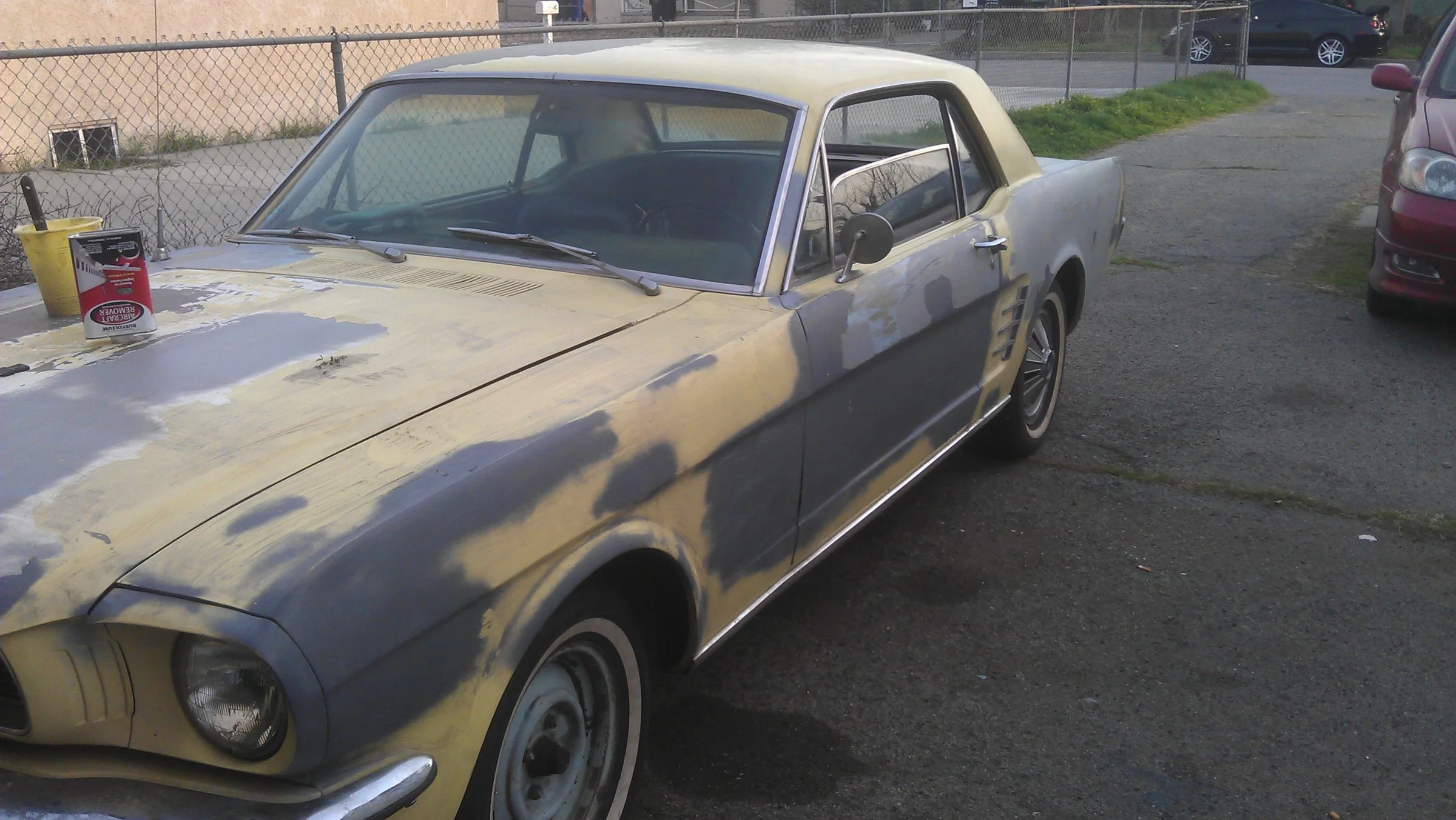 IMAG0862.webp