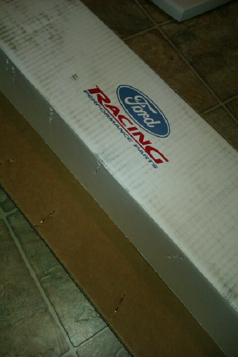 IMAG0868.webp