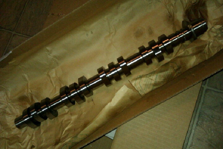 IMAG0870.webp