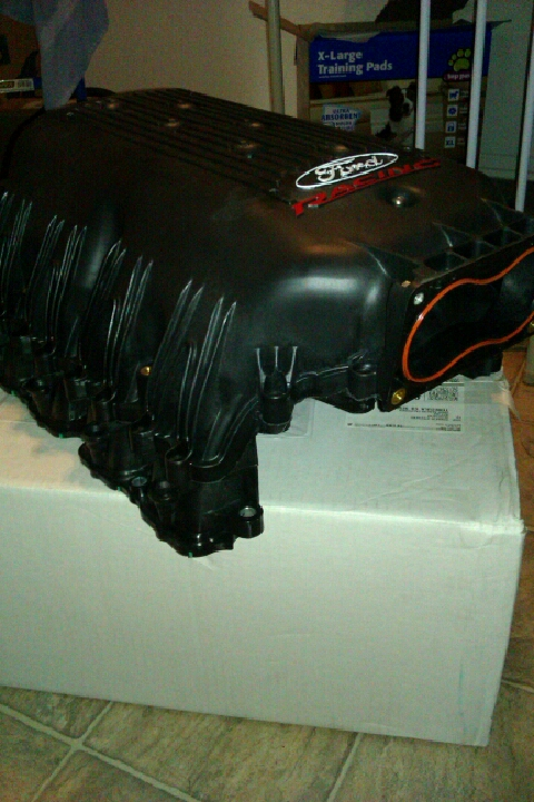 IMAG0874.webp