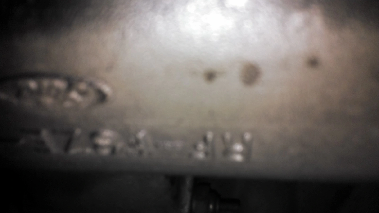 IMAG0904.webp