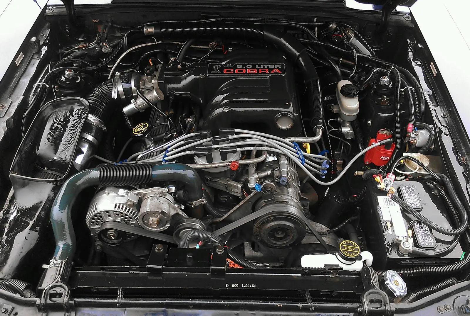IMAG0990-1.webp