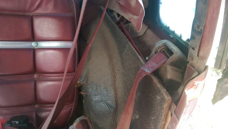IMAG0999[1].webp