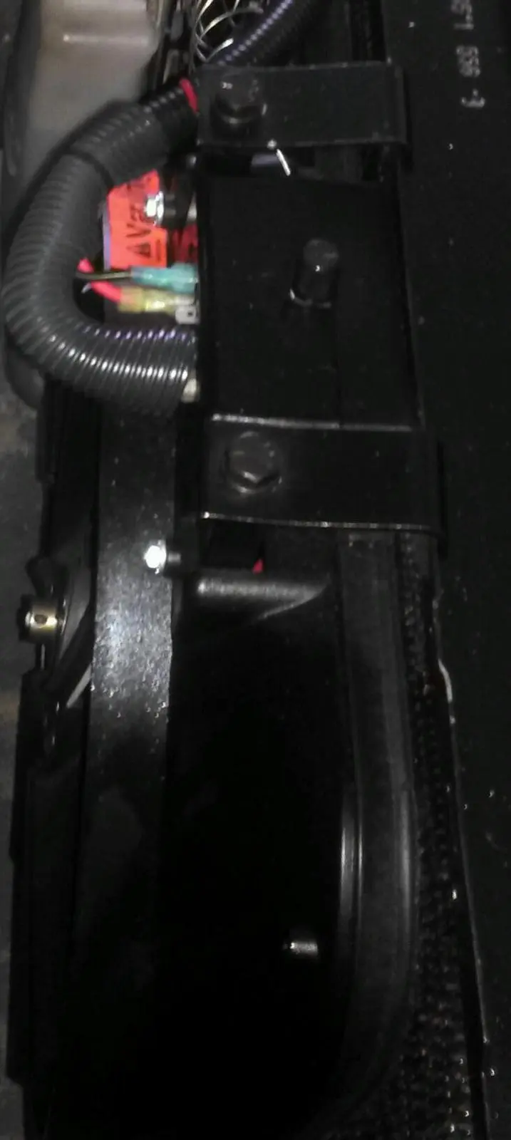 IMAG1017-1.webp