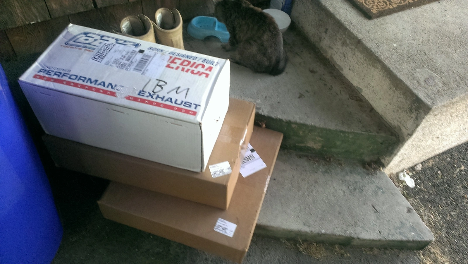 IMAG1032.webp