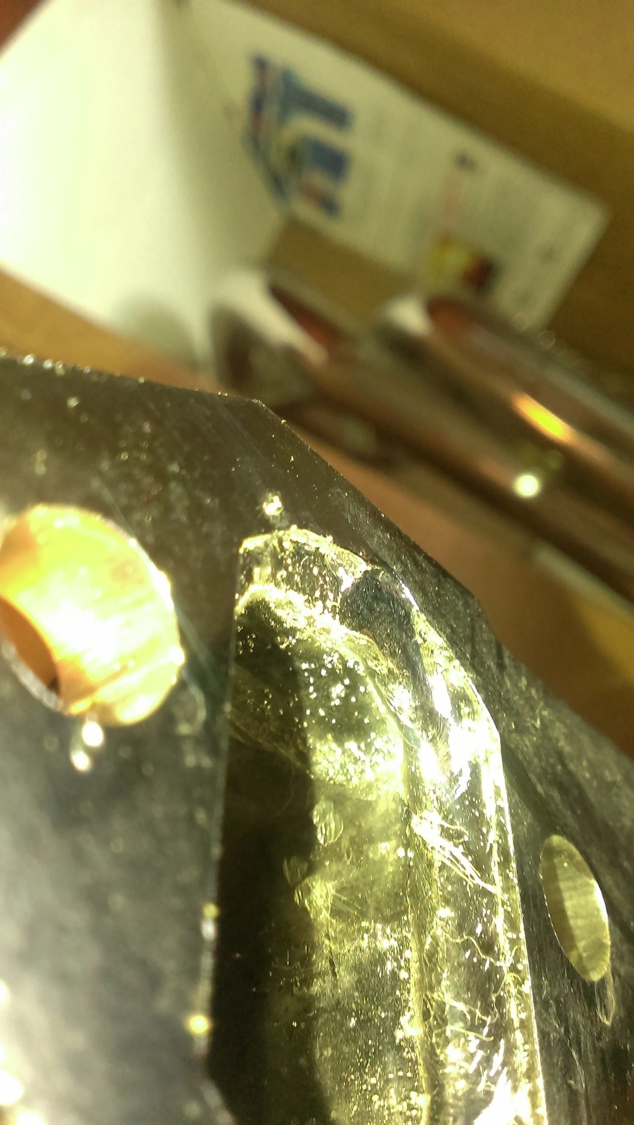 IMAG1036.webp