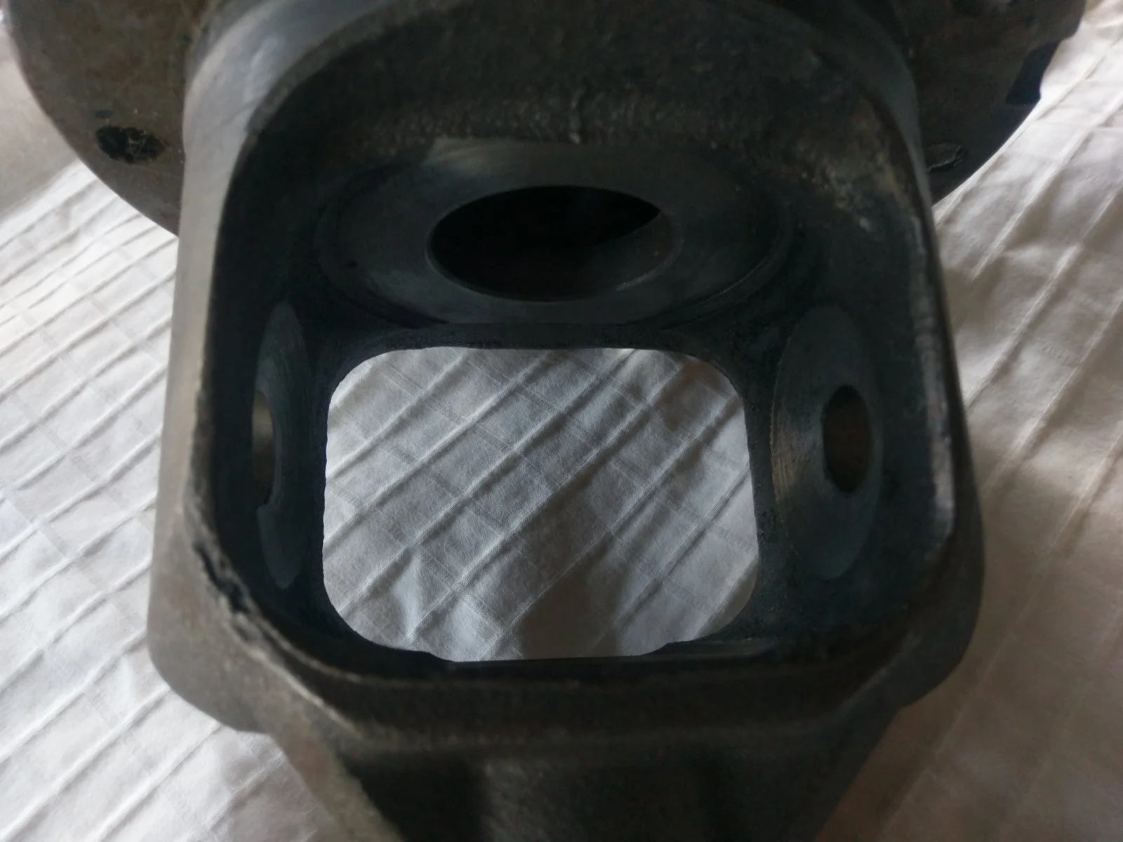 IMAG1055.webp