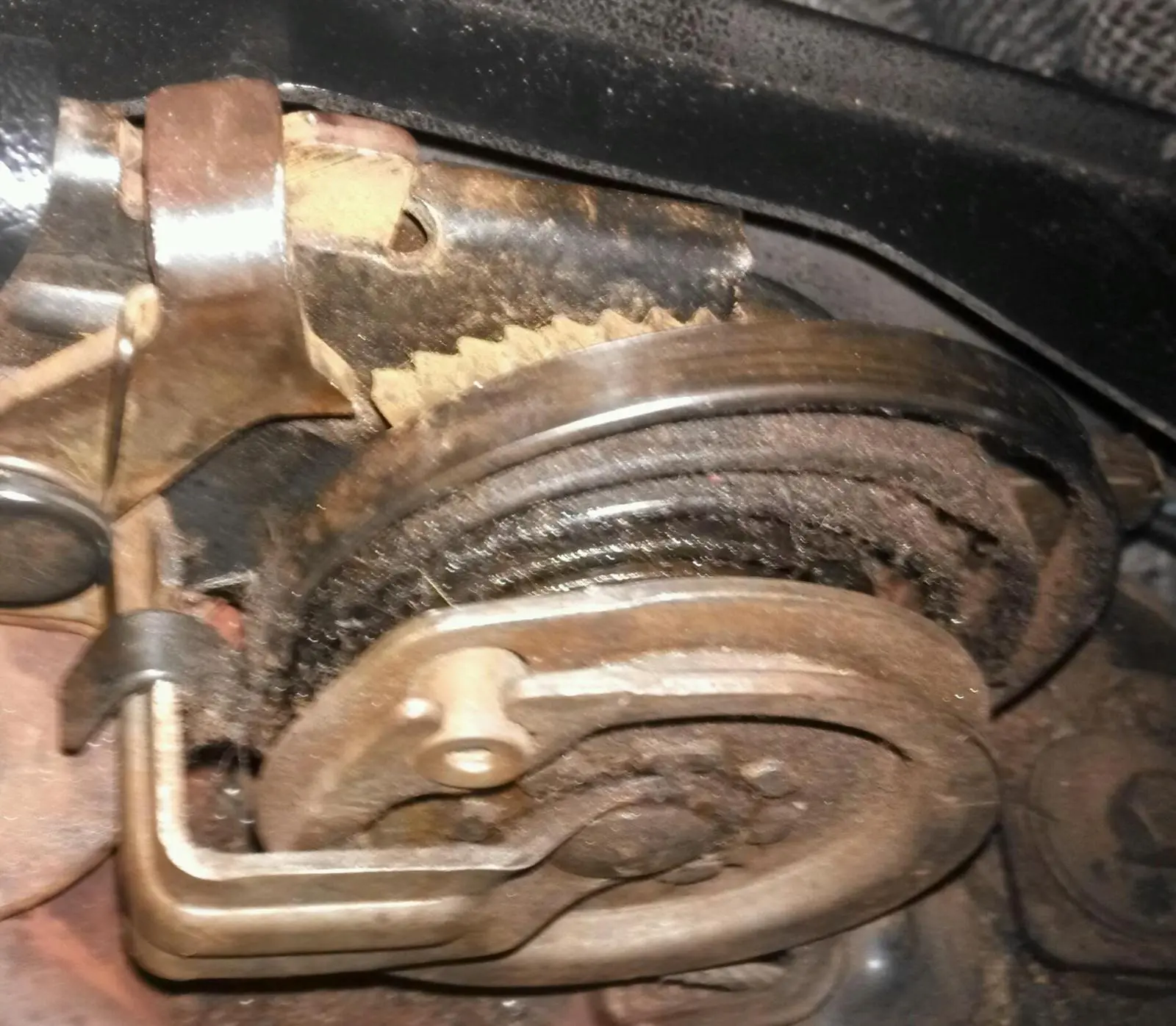 IMAG1091-1.webp