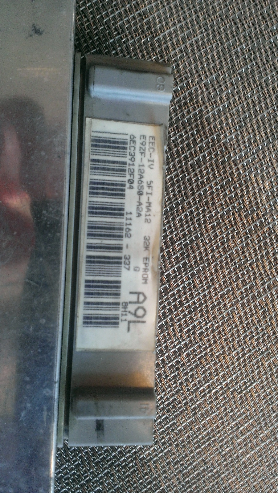 IMAG1145.webp