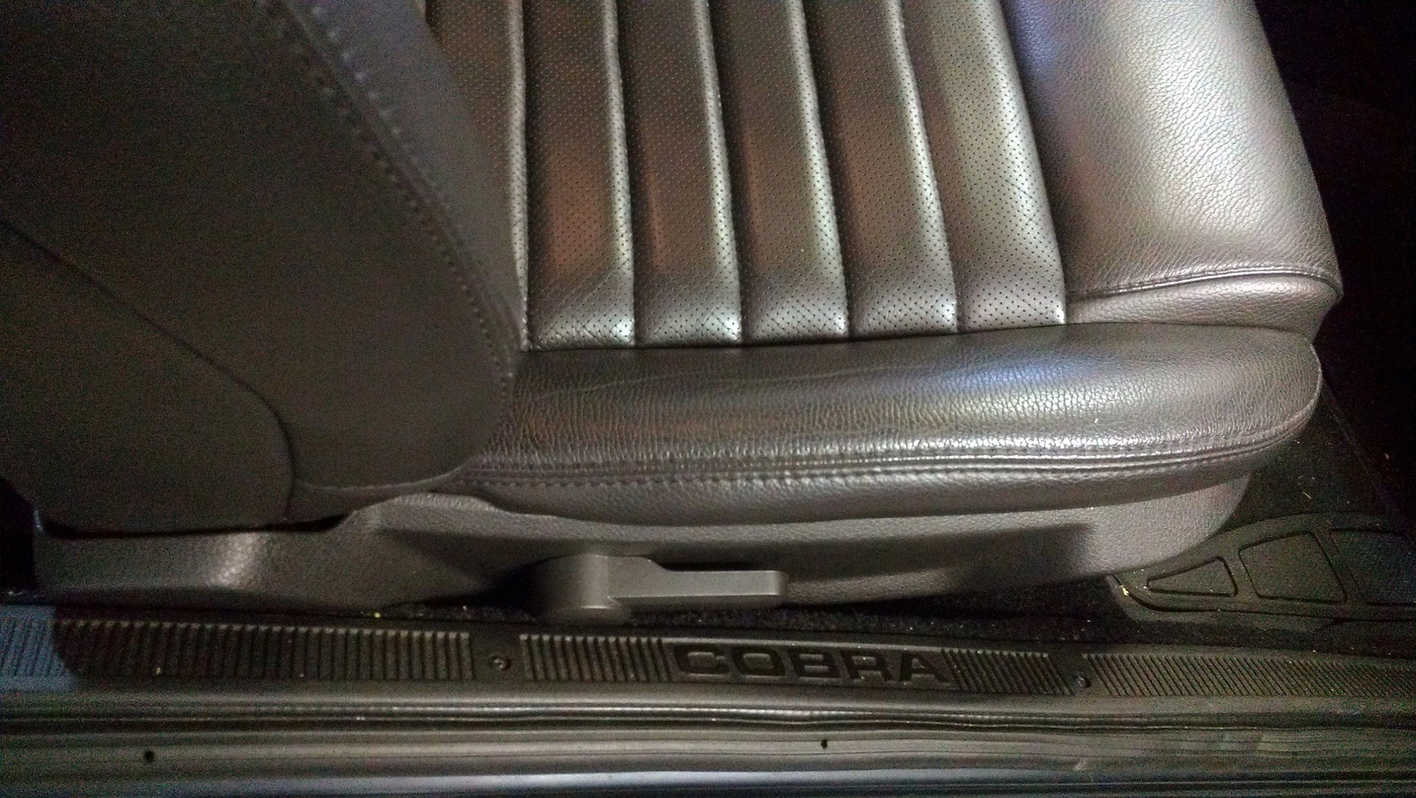 IMAG1155.webp