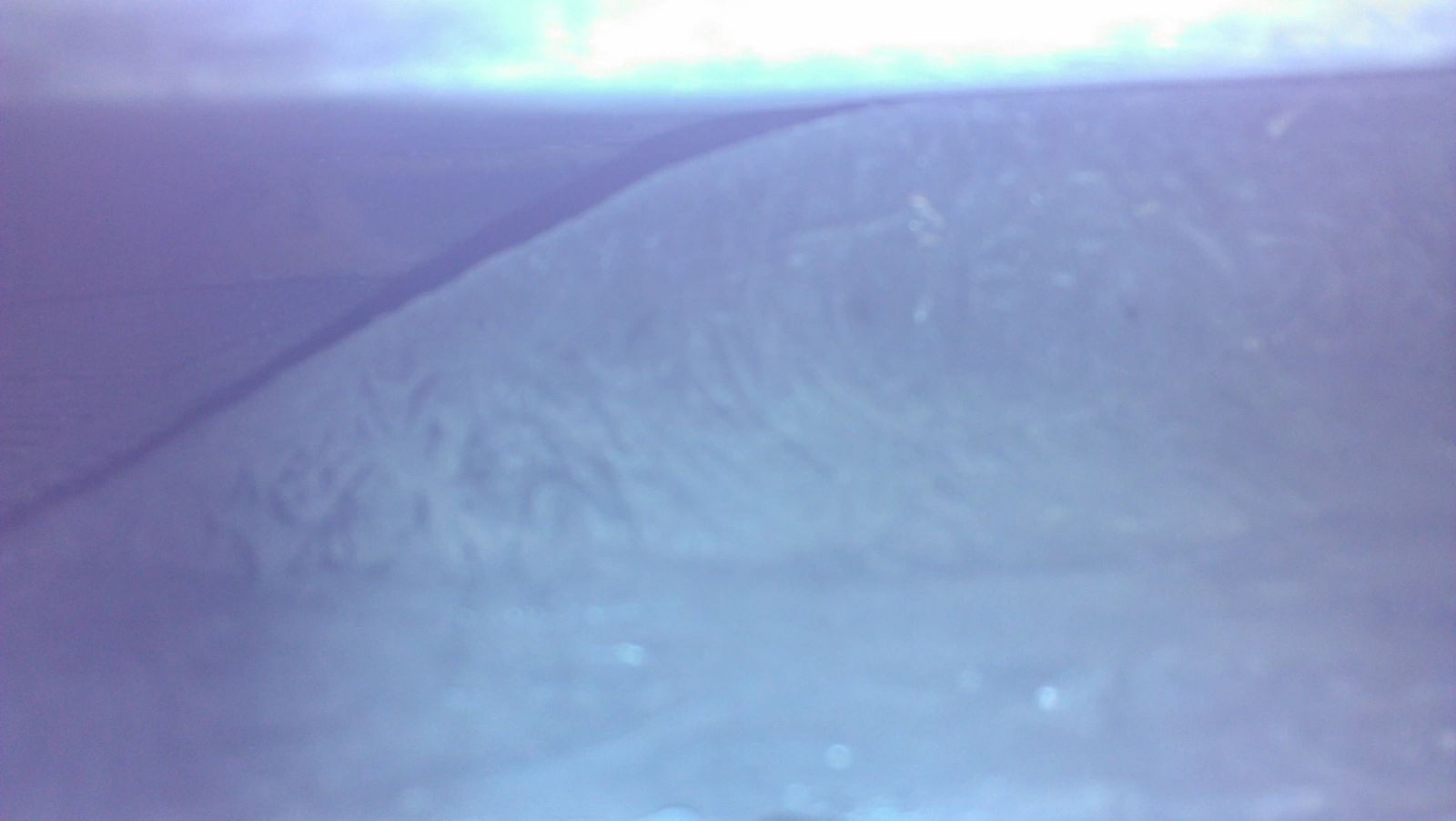 IMAG1240.webp