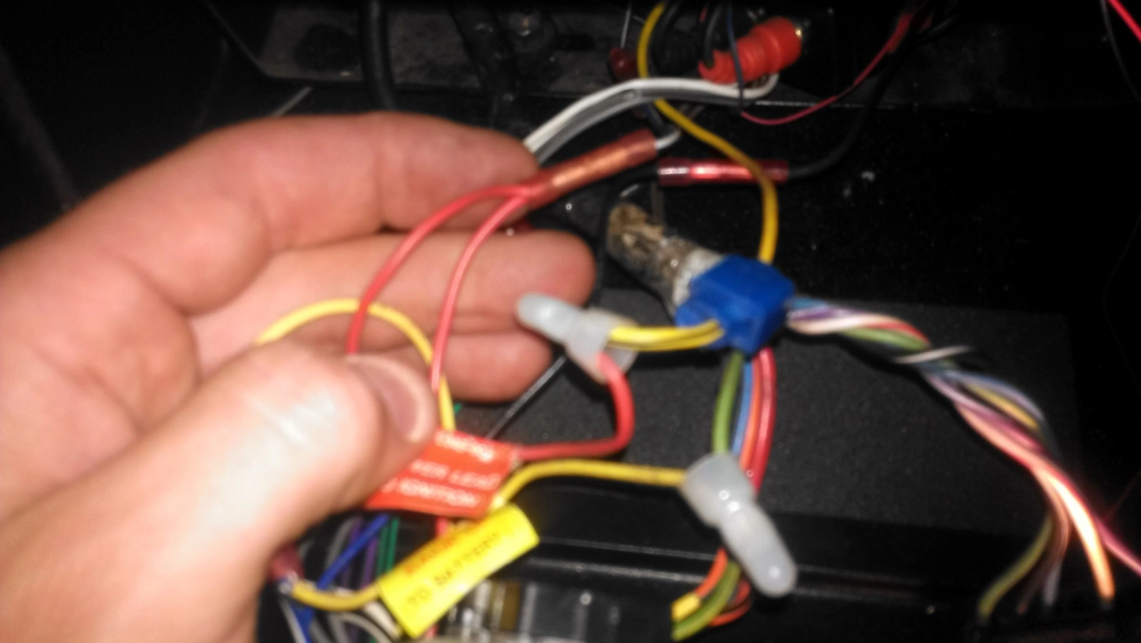 IMAG1286.webp