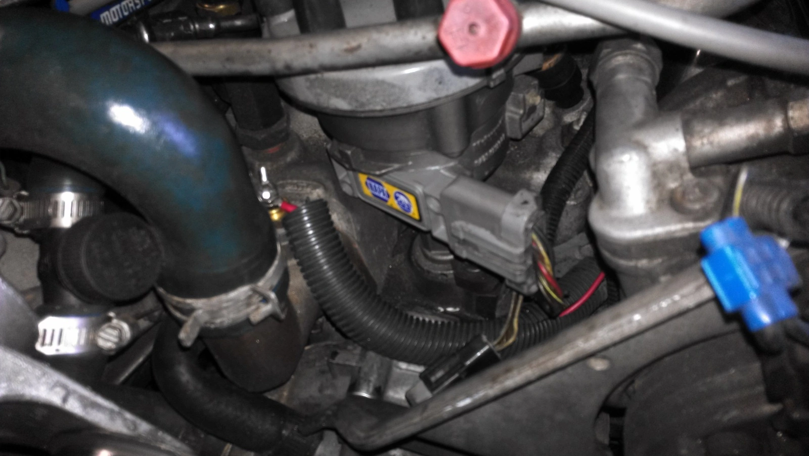 IMAG1326.webp