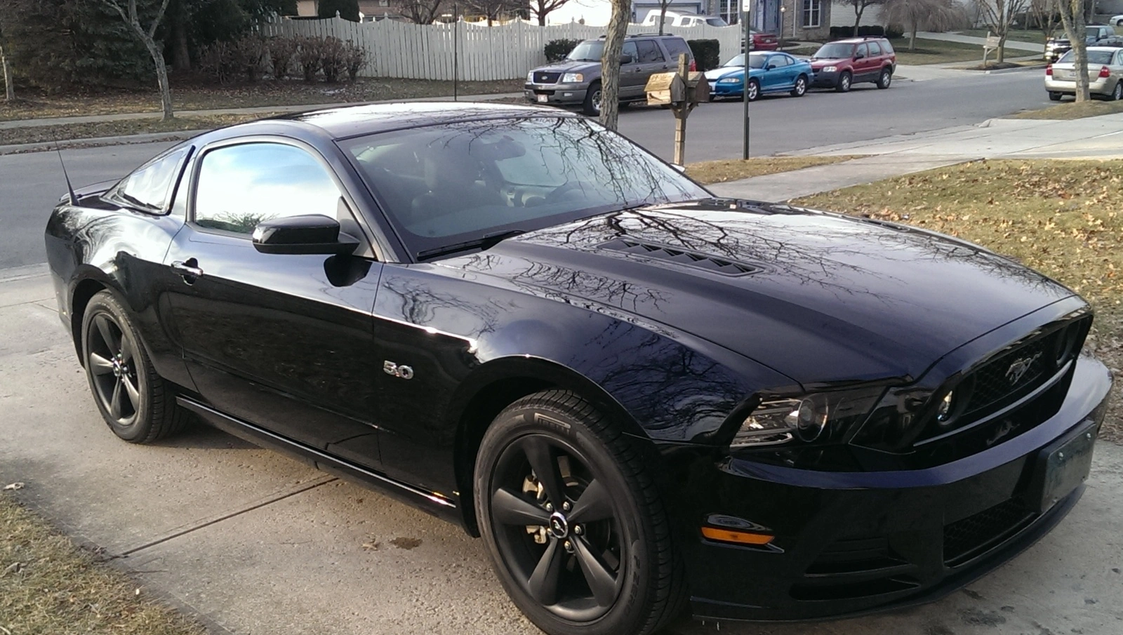 IMAG1330[1].webp