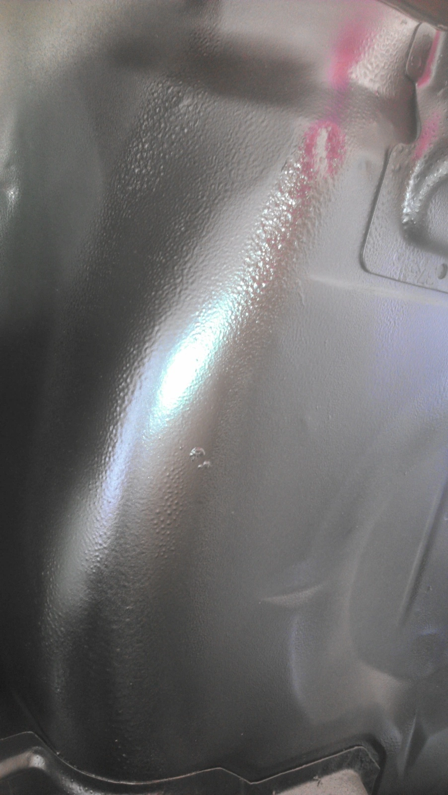IMAG1363.webp