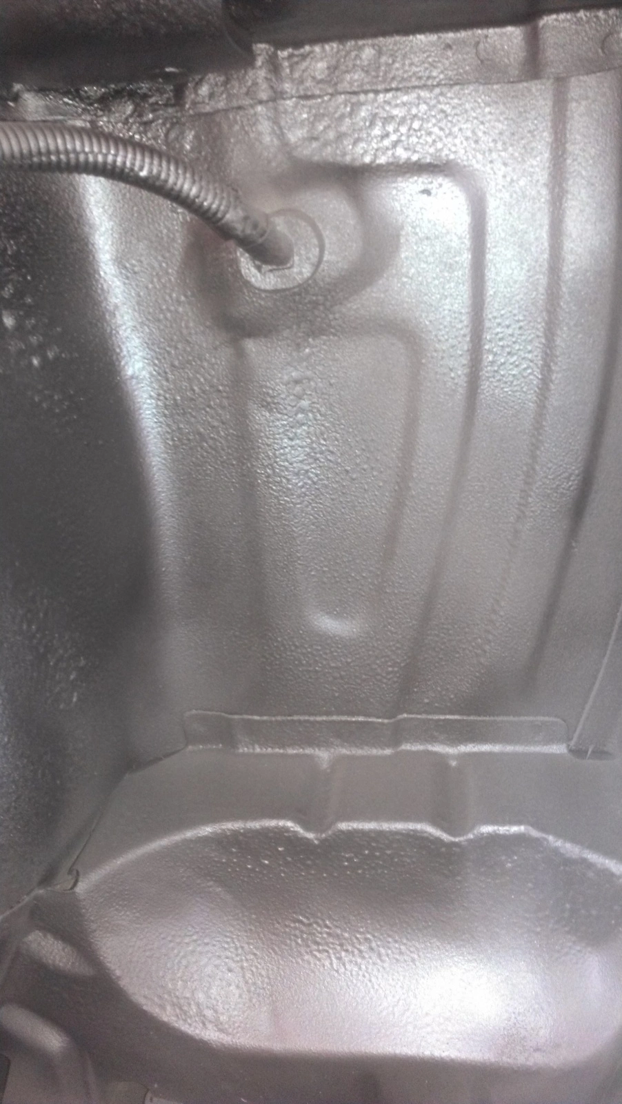 IMAG1364.webp