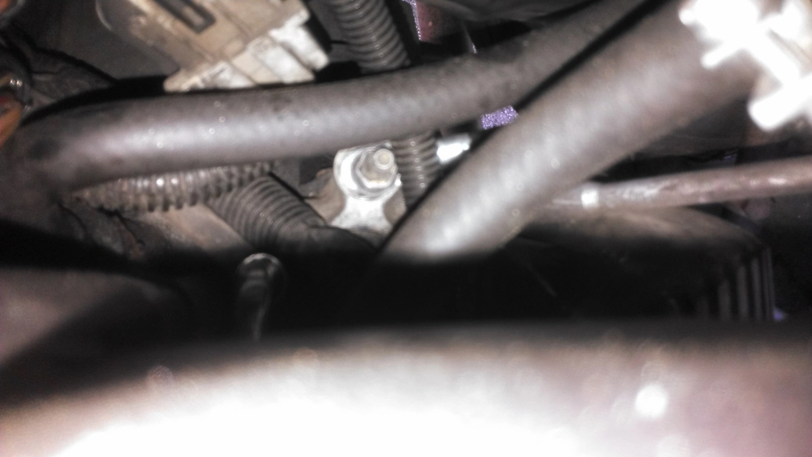IMAG1382.webp