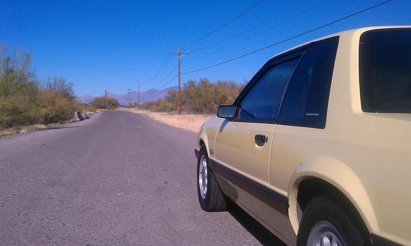 IMAG1911.webp